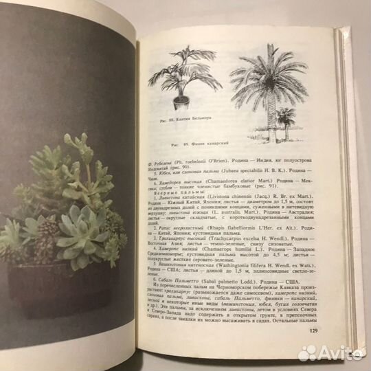 Цветоводство для всех