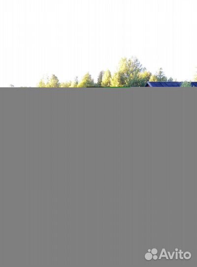 Продам пчелосемьи