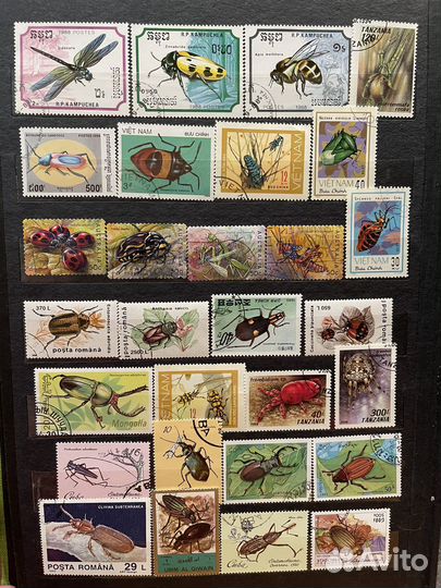 Флора и фауна. Альбом 3 лот 1