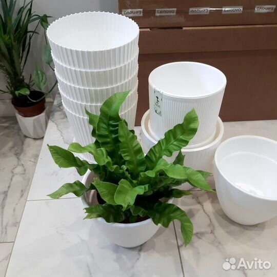 Горшки для цветов белые / Горшок для цветов