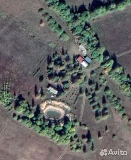 Пчелосемьи