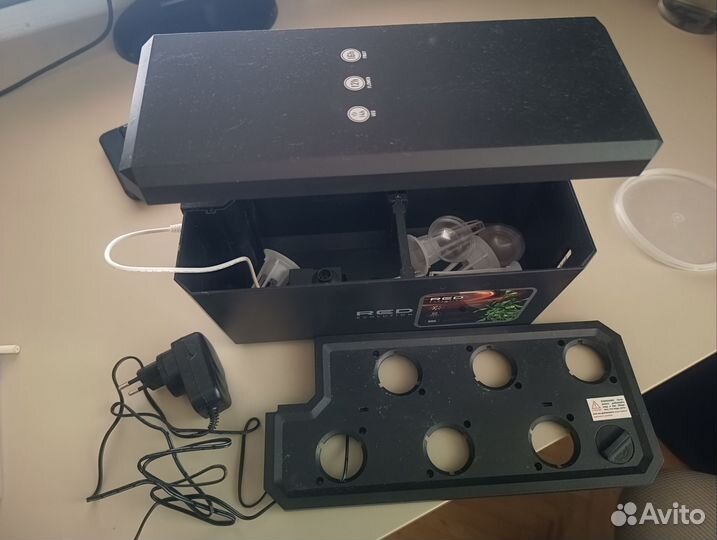 RED умный сад