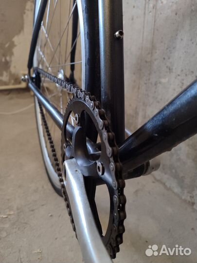 Fuji declaration 2013