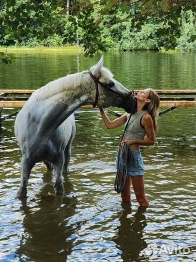 Фотосессия с лошадью