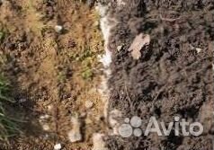 Грунт рязанский,тульский, воронежский