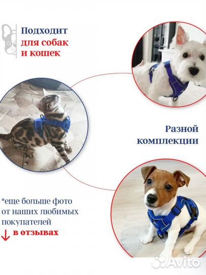 Шлейка с поводком