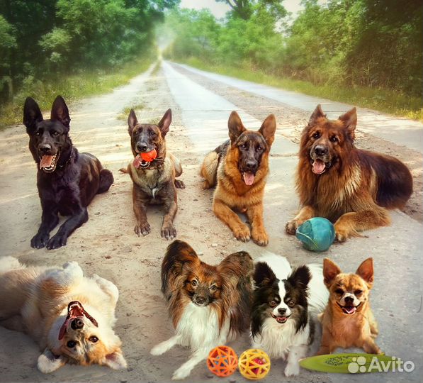 Передержка