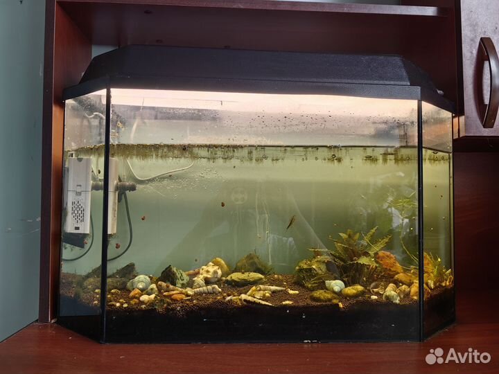 Аквариум 60 литров со светом