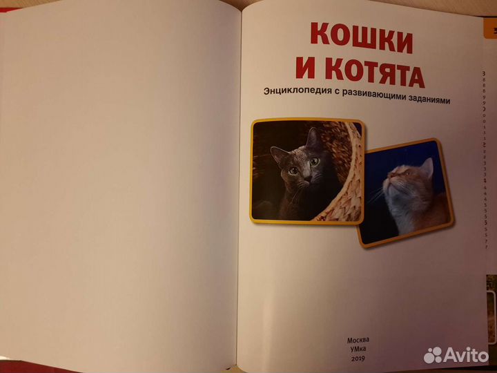 Энциклопедия