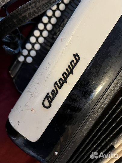 Баян Беларусь