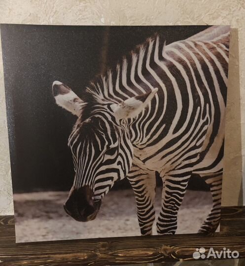 Постеры (декор сафари)