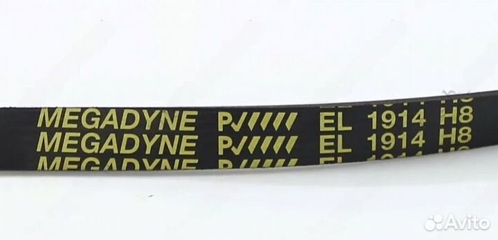 Ремень 1914 H8 PJ