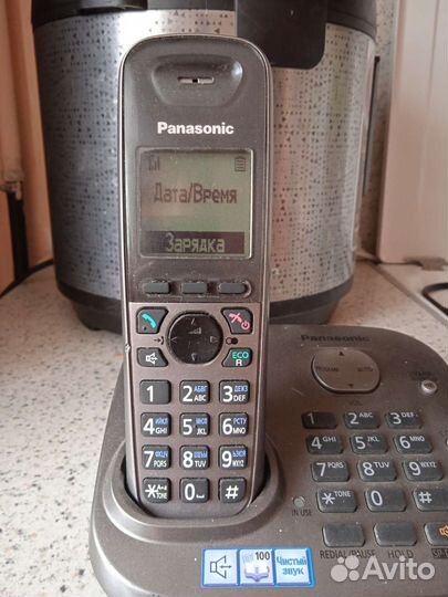 Panasonic