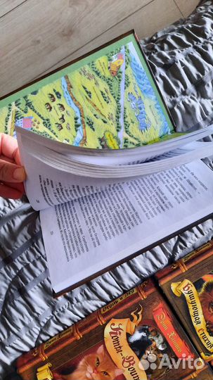 Коты-воители 1цикл