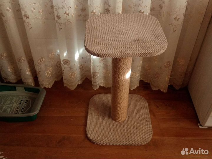 Когтеточка высокая 70см