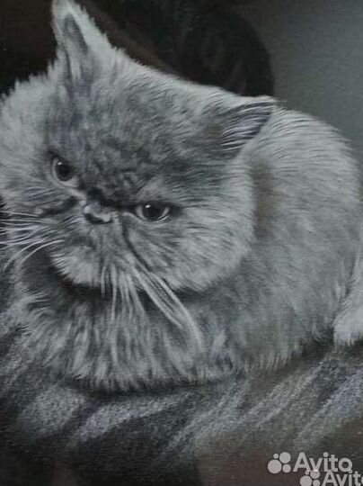 Гравировка портретов