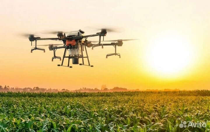 Обработка полей агродронами