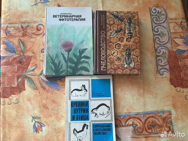 Энциклопедии и учебники