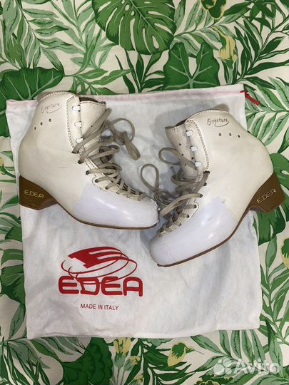 Ботинки edea overture