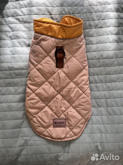 Костюмы и пеленки для собаки (щенка)