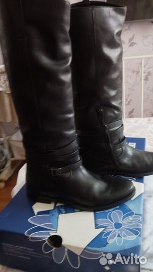 Сапоги ralf ringer