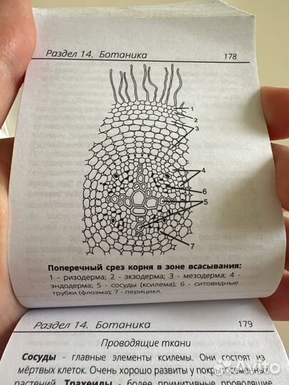 Карманный справочник ЕГЭ биология Алена Бриз