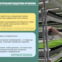 Натуральные соки как бизнес — без опыта и рисков, Сумы
