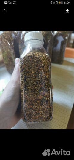 Пылица пчелинная, перга