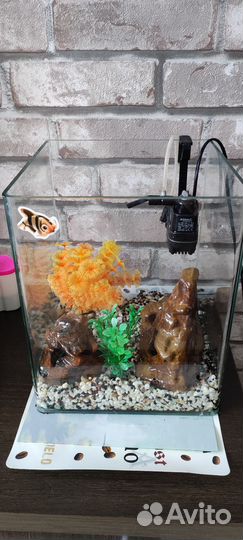 Аквариум 18 л. с наполнением и 2-мя сомиками