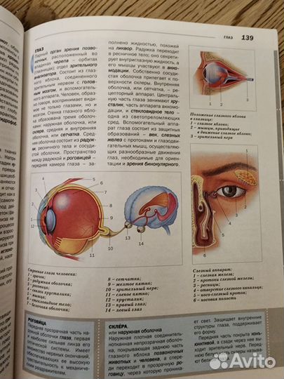 Энциклопедия Биология
