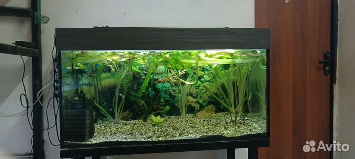 Аквариум
