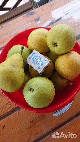 Яблоки, груши