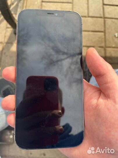 iPhone 12 Pro Max, 256 ГБ