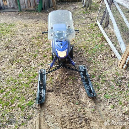 Динго Т125
