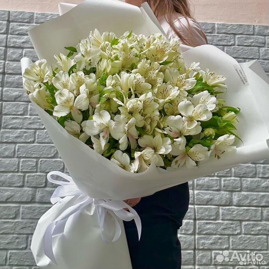 Букет из 31 белой альстромерии