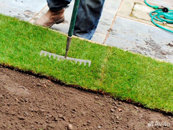 Рулонный газон от производителя - укладка