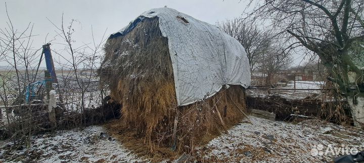 Продам сено разнотравье