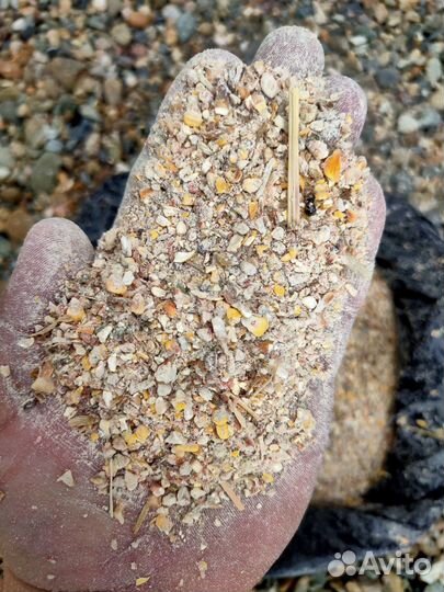 Продам зерновые отходы