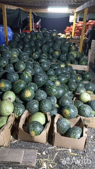 Арбуз оптом