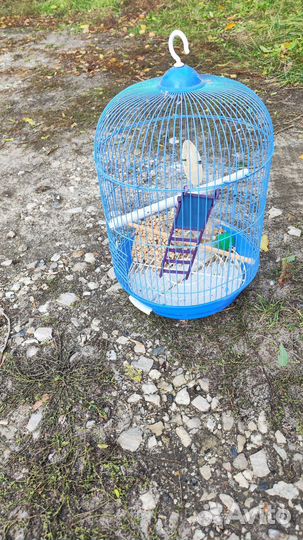 Клетка для попугая бесплатно