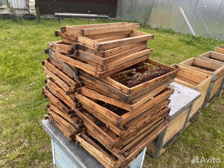 Улей для пчел