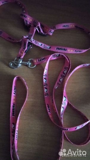 Поводок для маленьких собак и кошек