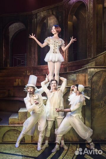 Билеты 1/2 Принцесса цирка Театр Мюзикла