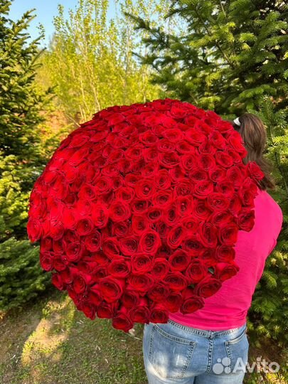 Розы с доставкой, огромный букет, 201 роза