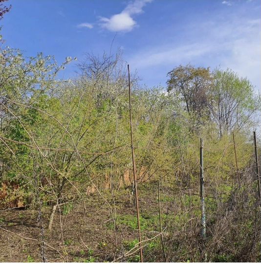 Участок 8 сот. (СНТ, ДНП)