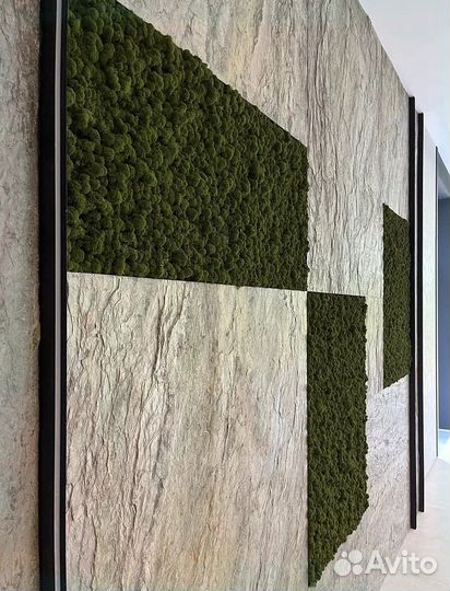 Стена из стабилизированного мха
