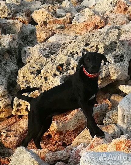 Малышка Эвочка