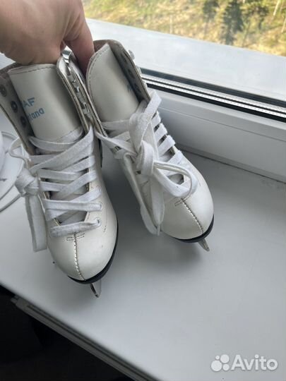 Коньки для фигурного катания 31 Graf Montana