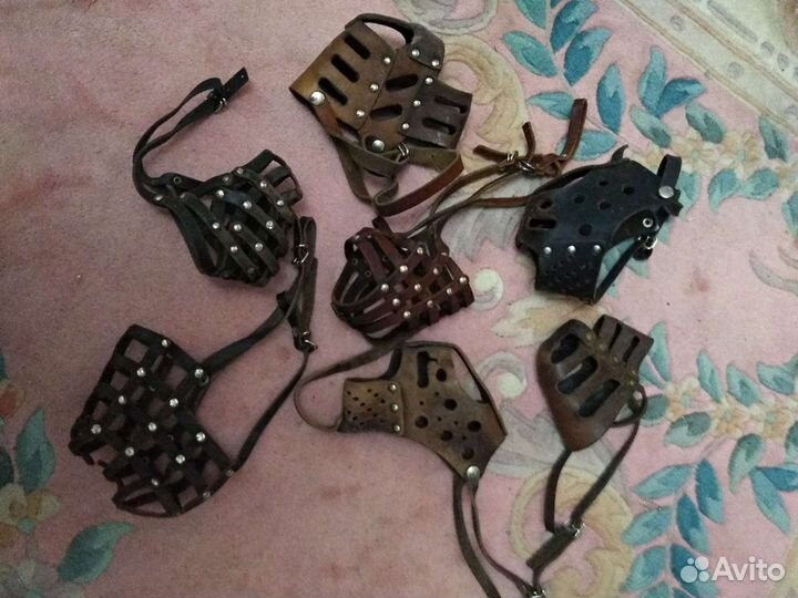 Принадлежности для животных