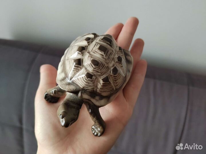 Черепаха из фарфора ищет дом